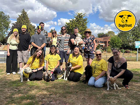 TECHSiL Walk for Wagging Tails Fundraiser