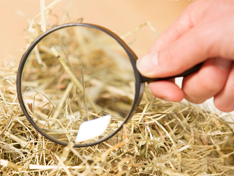 Quality assurance: finding that needle in the haystack